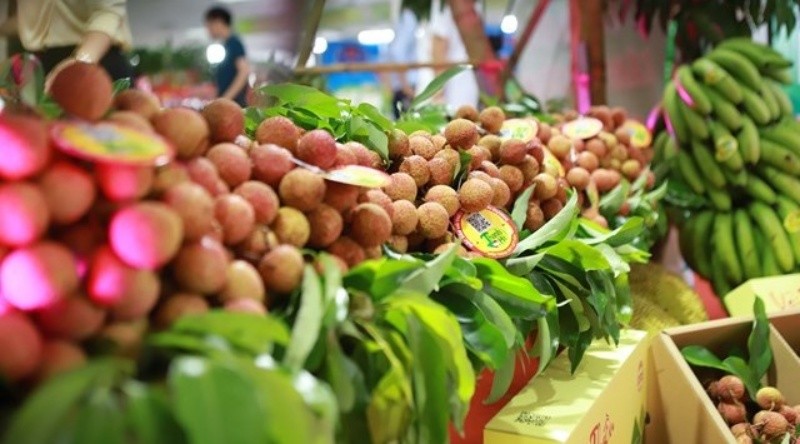 Lạc quan triển vọng xuất khẩu rau quả đầu năm 2023 | Mekong ASEAN