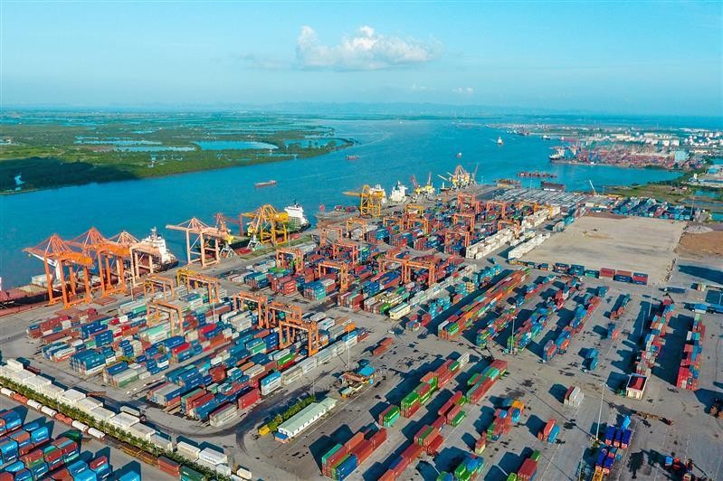 Tuyến container kết nối trực tiếp 2 cảng biển lớn của Việt Nam tới Ấn Độ với thời gian vận chuyển cạnh tranh
