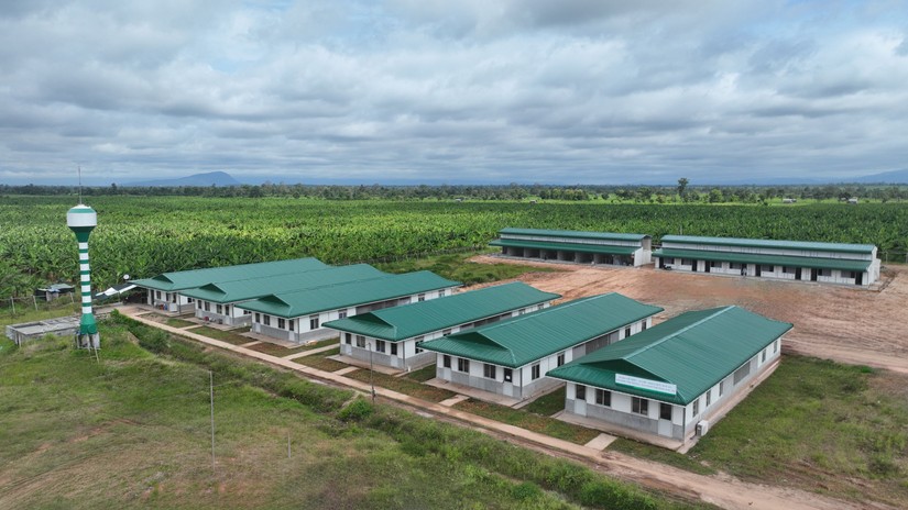 Các khu nhà ở dành cho CBNV làm việc tại Khu liên hợp nông nghiệp của Thaco Agri