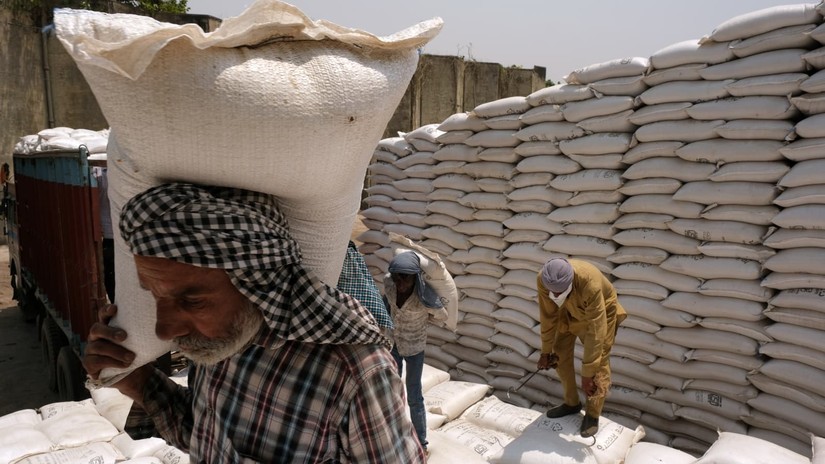 Ấn Độ đã cấm xuất khẩu lúa mì do giá ngũ cốc tăng mạnh. Ảnh: Bloomberg