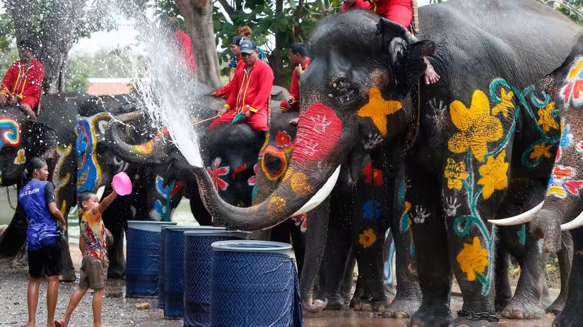 Trẻ em và voi tại lễ hội té nước Songkran tại tỉnh Ayutthaya, Thái Lan. Ảnh: Getty Images