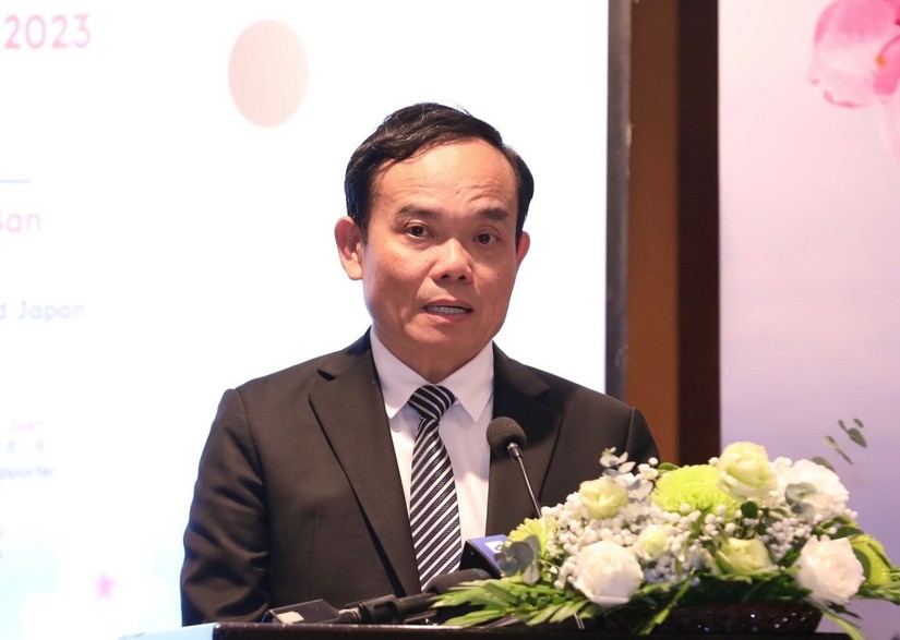  Phó Thủ tướng Chính phủ Trần Lưu Quang. Ảnh: TTXVN