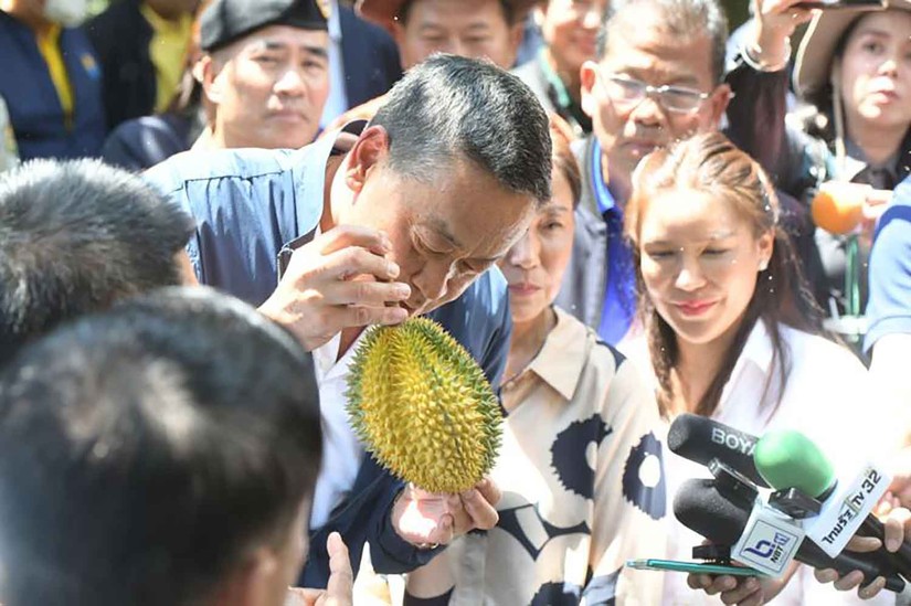 Thủ tướng Thái Lan Srettha Thavisin cầm một quả sầu riêng ở tỉnh Chanthaburi, miền đông Thái Lan, ngày 27/4. Ảnh: Bangkok Post 