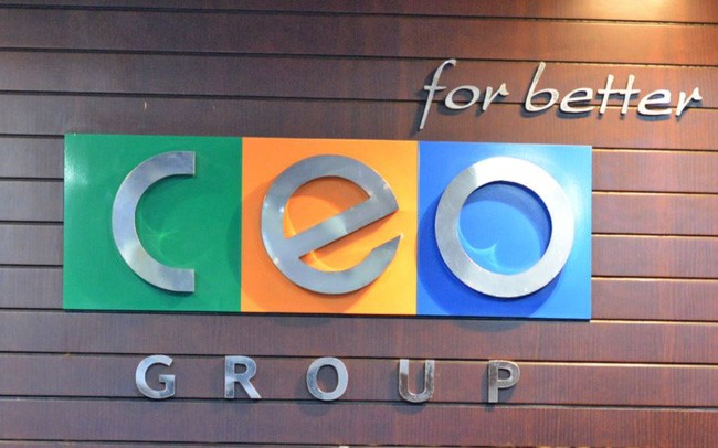 CEO Group được tổ chức theo mô hình tập đoàn kinh tế tư nhân.