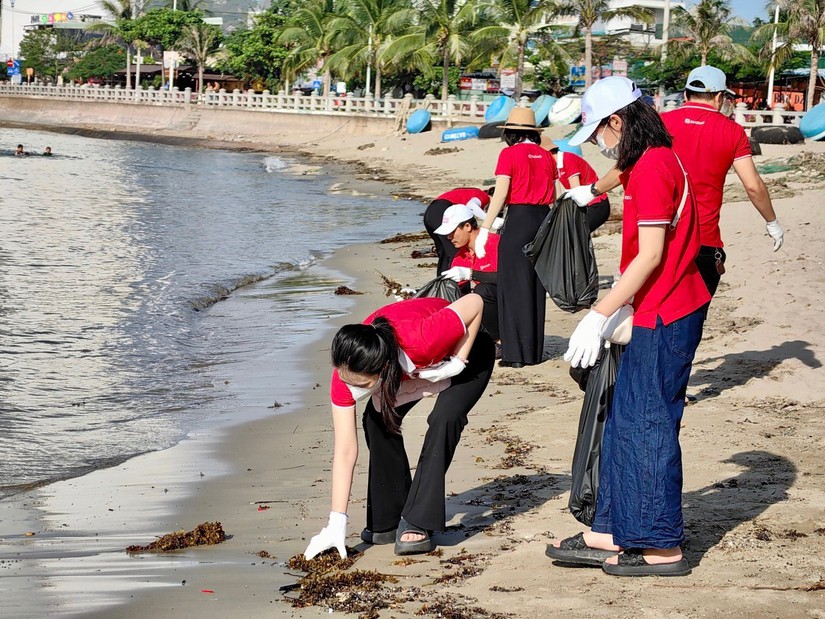 Gần 1.000 cán bộ nhân viên SeABank ra quân làm sạch bờ biển tại 11 tỉnh thành
