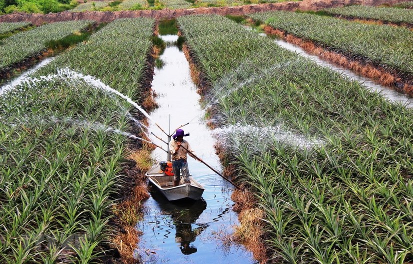 2021, Nông nghiệp Việt Nam “vượt khó” thành công