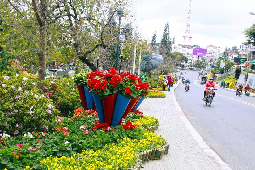 Đường phố Đà Lạt rực rỡ trong các dịp Lễ hội hoa - Ảnh minh họa