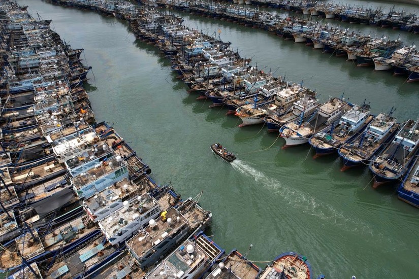 Tàu đánh cá neo đậu tại cảng Gaoqi tại Hạ Môn, tỉnh Phúc Kiến, Trung Quốc ngày 26/7/2023 để chuẩn bị cho bão Doksuri. Ảnh: cnsphoto 