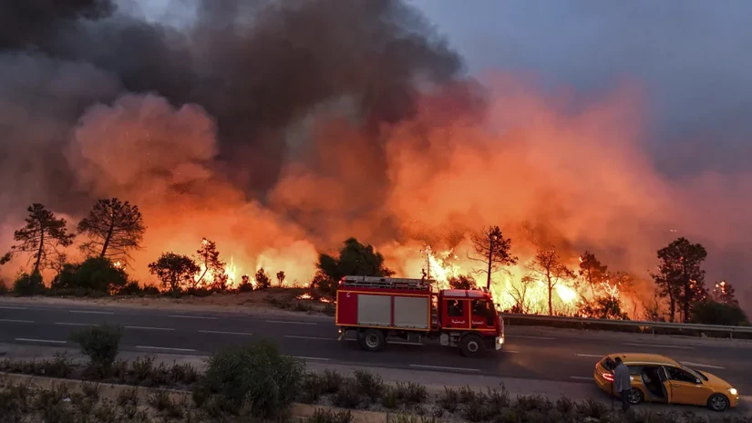Cháy rừng gần thị trấn Melloula ở tây bắc Tunisia vào ngày 24/7/2023. Ảnh: Getty Images