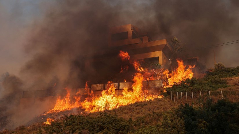Cháy rừng tại Ai Cập hồi tháng 7/2023. Ảnh: Sky News