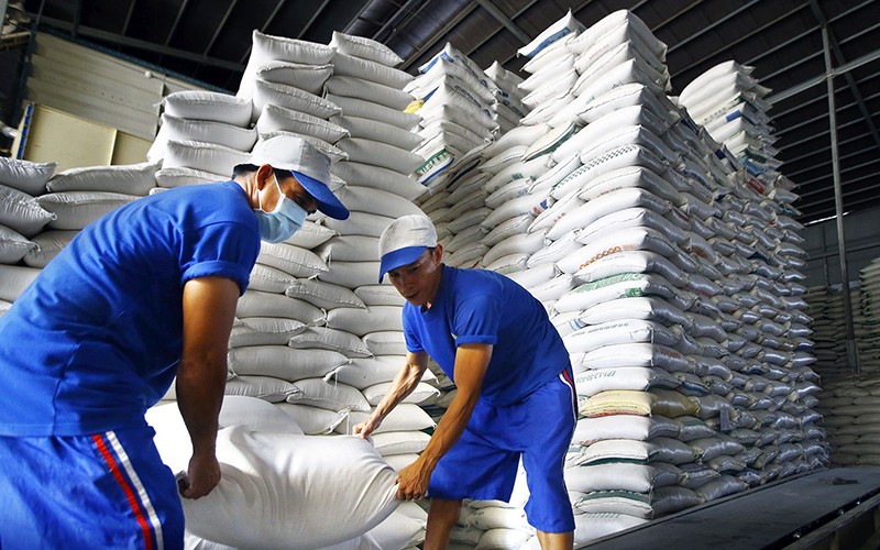 Giá xuất khẩu gạo của Việt Nam vào EU đạt mức trung bình 781 USD/tấn. Ảnh: Internet